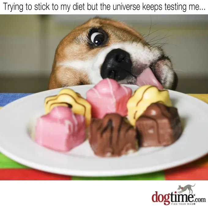 Dlaczego mnie testujesz?' title=