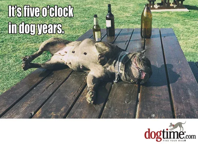 Szczęśliwa godzina jest teraz' title=