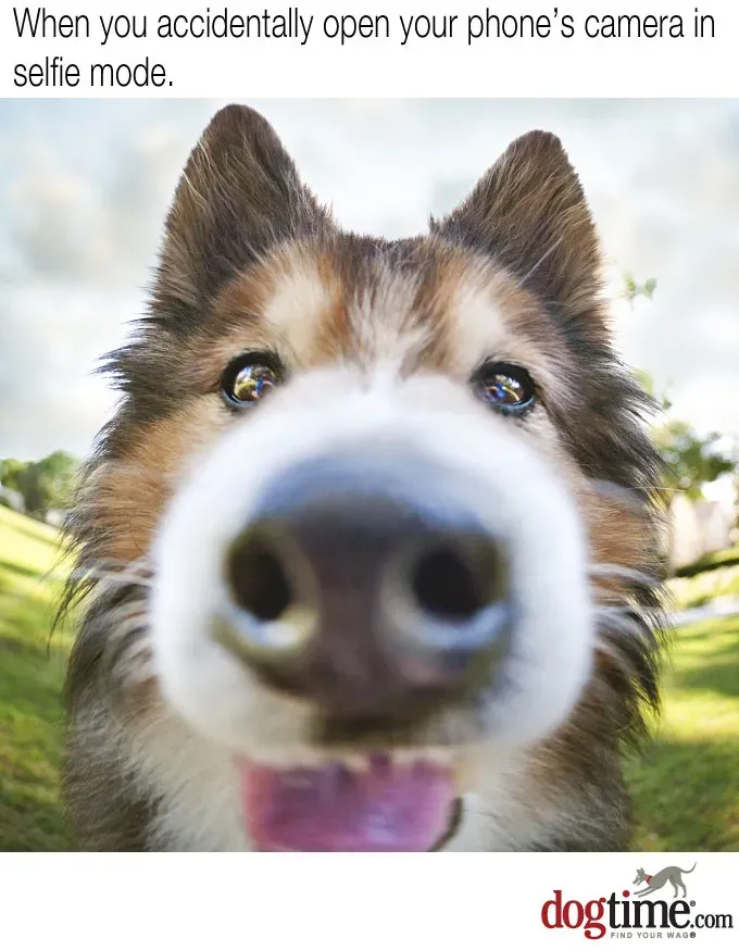 Ups. Usuwać.' title=