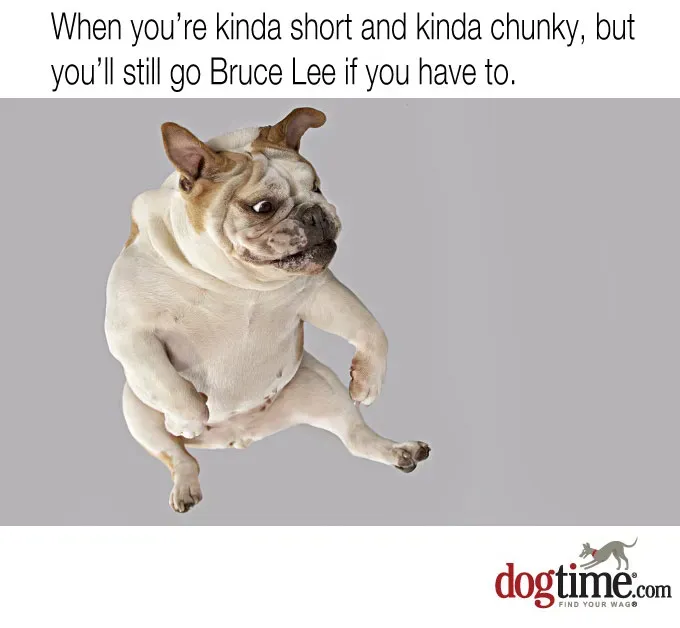 Latające kopnięcie' title=