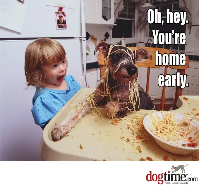 Mogę wyjaśnić' title=