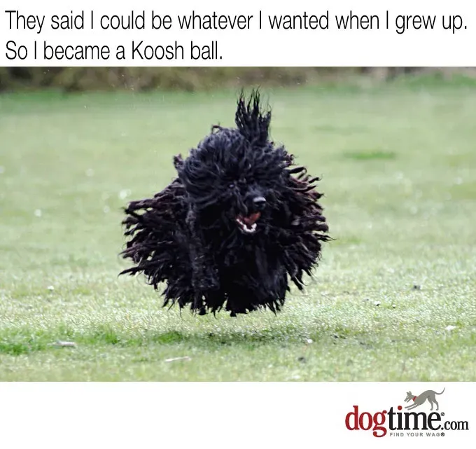 Wiek dojrzały' title=