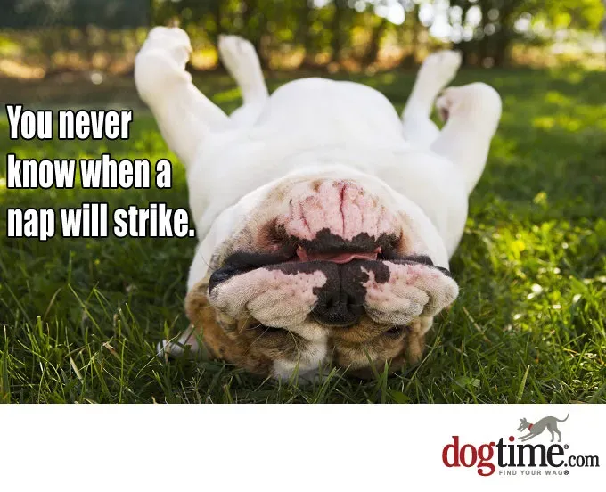 Czas drzemki' title=