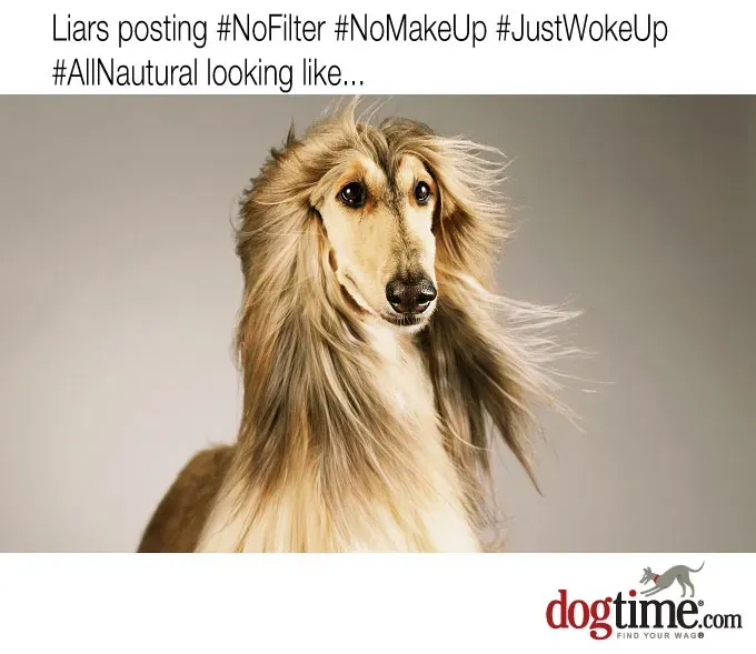 Łatwy, przewiewny' title=