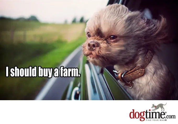 Życie na wsi' title=