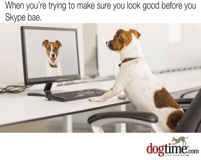 Jak wyglądam?' title=