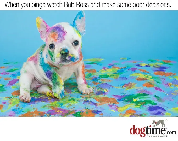 Szczęśliwe wypadki' title=