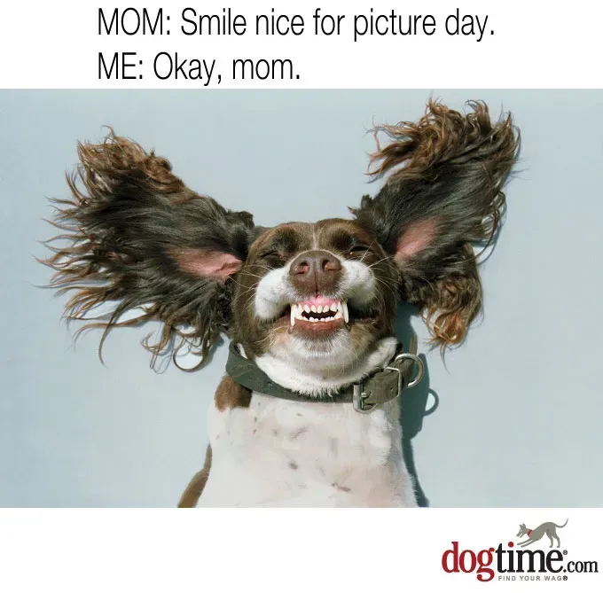 Wygląda dobrze' title=