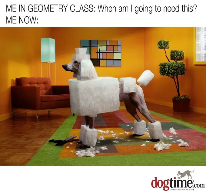 Geometryczny!' title=