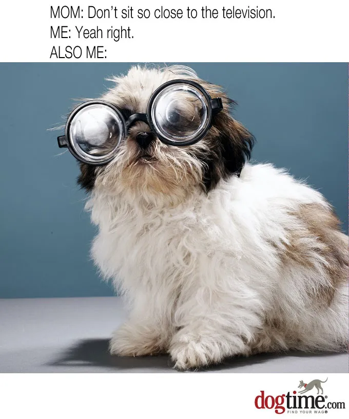 Opierać się do tyłu' title=