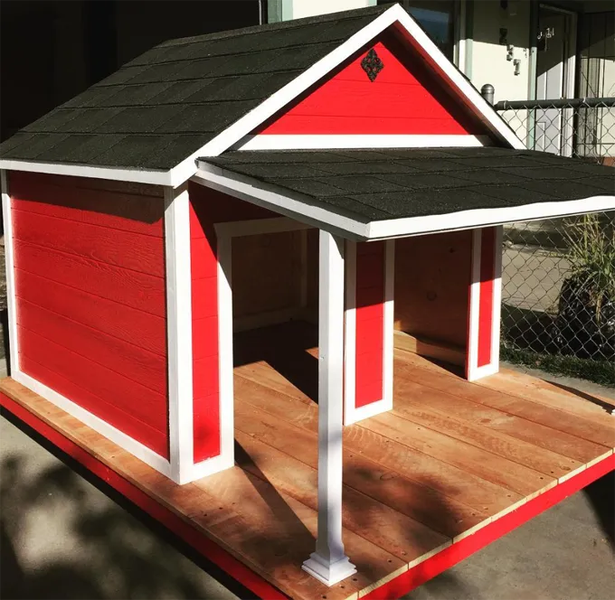 Įspūdingiausi šunų namai' title=