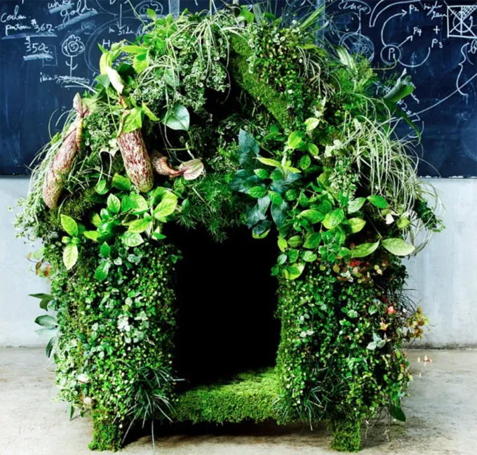 Įspūdingiausi šunų namai' title=