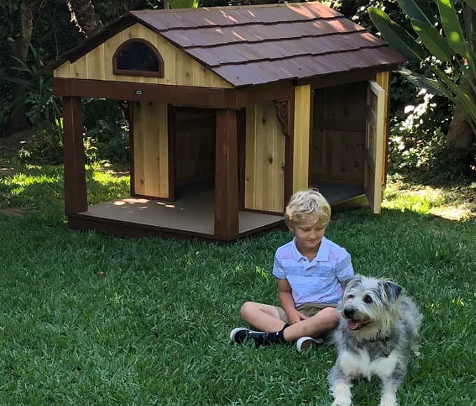 Įspūdingiausi šunų namai' title=