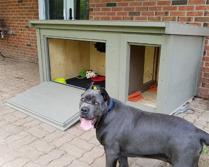 Įspūdingiausi šunų namai' title=