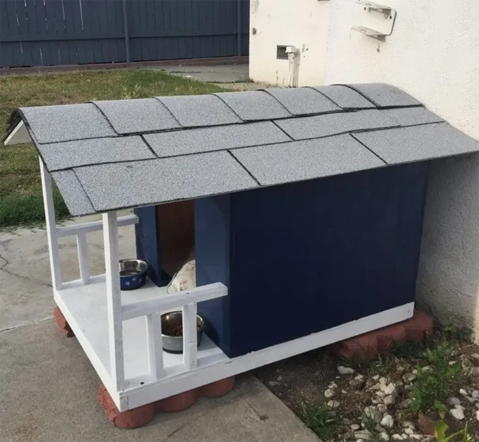 Įspūdingiausi šunų namai' title=