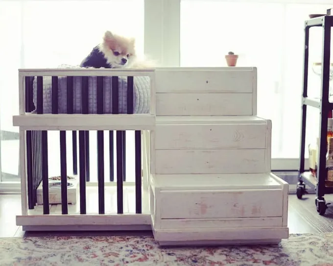 Įspūdingiausi šunų namai' title=