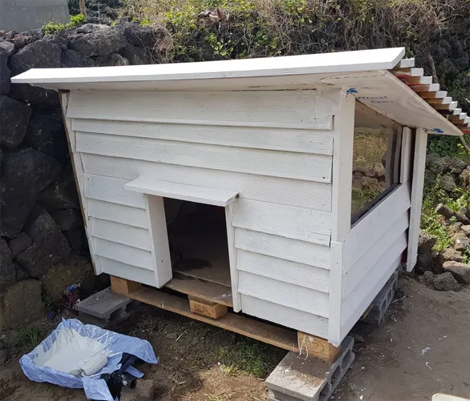 Įspūdingiausi šunų namai' title=