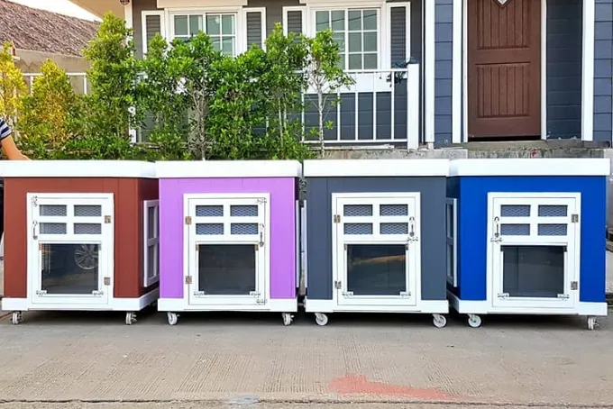 Įspūdingiausi šunų namai' title=