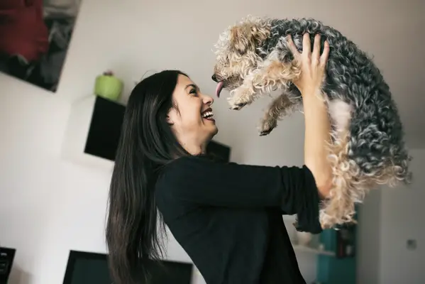 Poiščite najboljšega psa za svojega najboljšega prijatelja