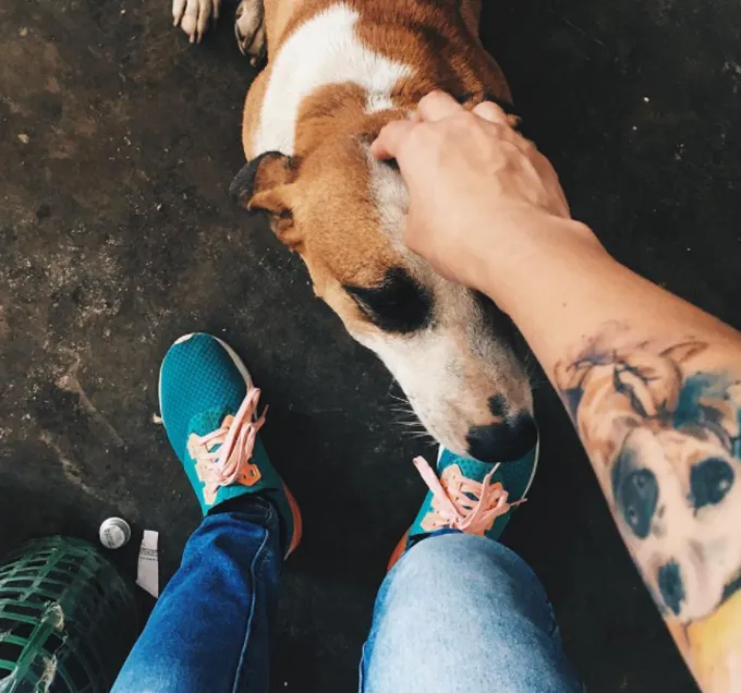 Hondeigenaar huisdier tattoo' title=