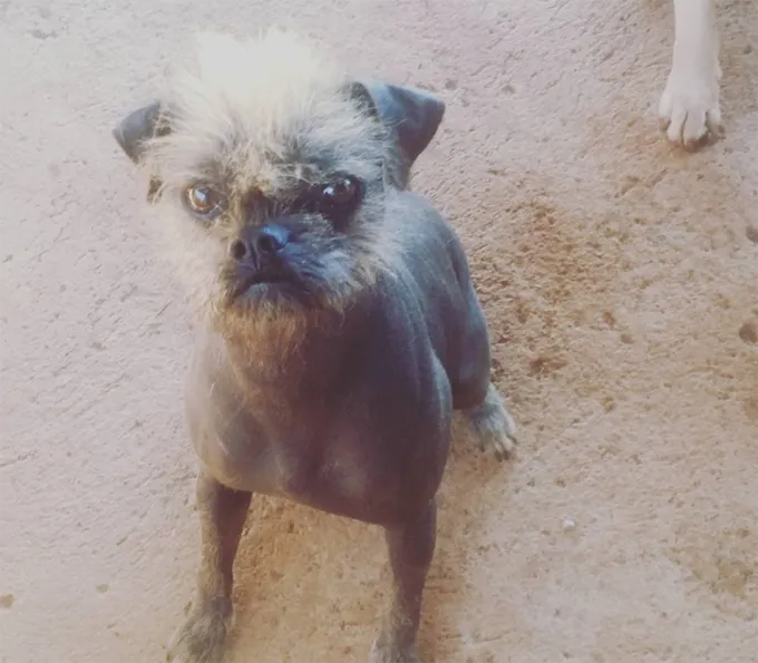 Слишком мило!' title=