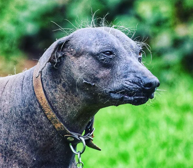 МОЙ БОГ!' title=