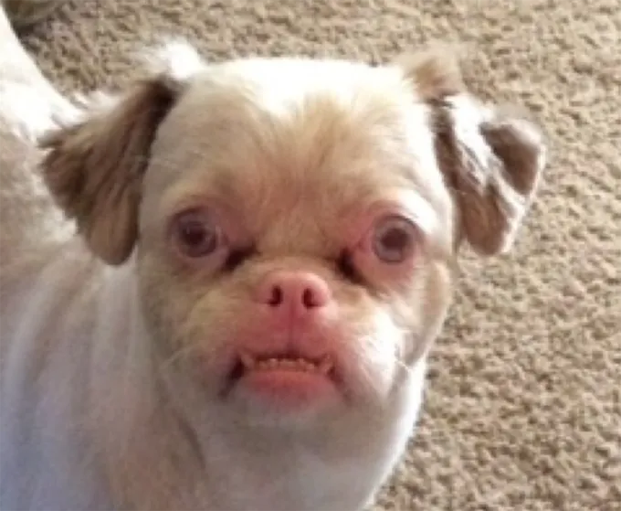 Слишком мило для этого списка!' title=