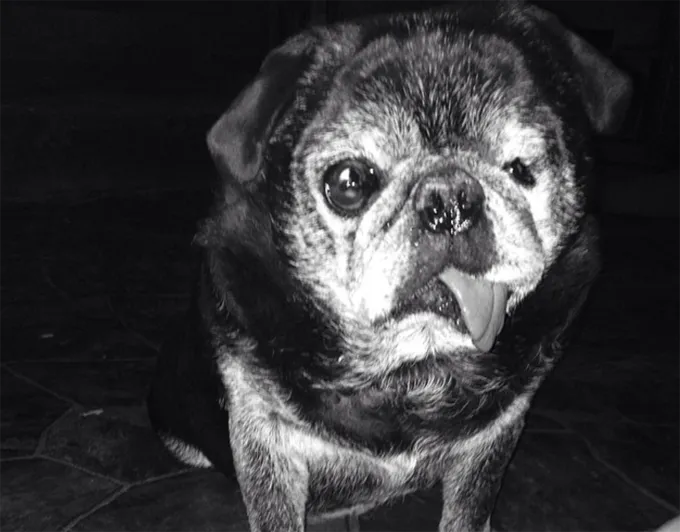 Я хочу поцеловать этого человека.' title=