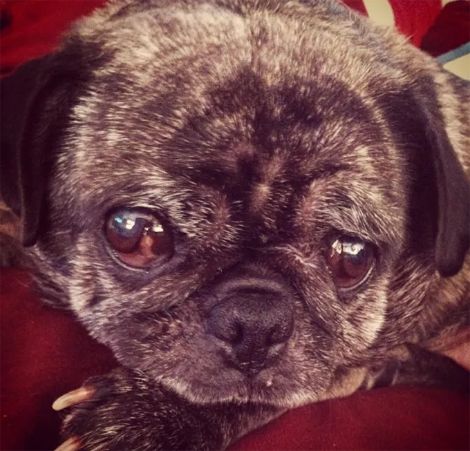 Мягкий.' title=