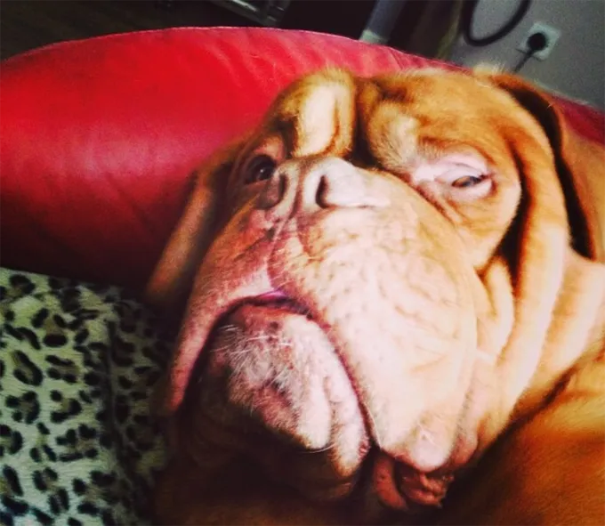 Кому-то нужны поцелуи.' title=