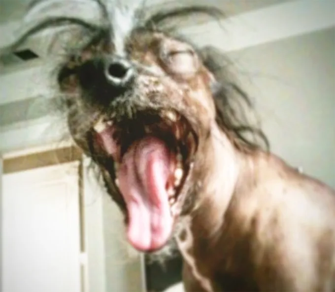 Ему нужны объятия.' title=