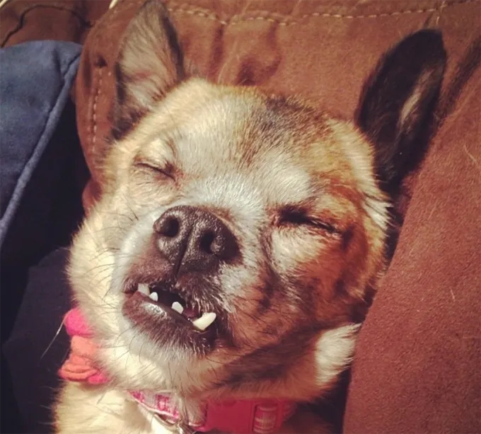 Как мило.' title=