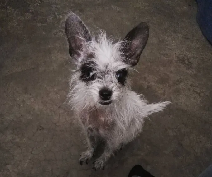 Так мило.' title=