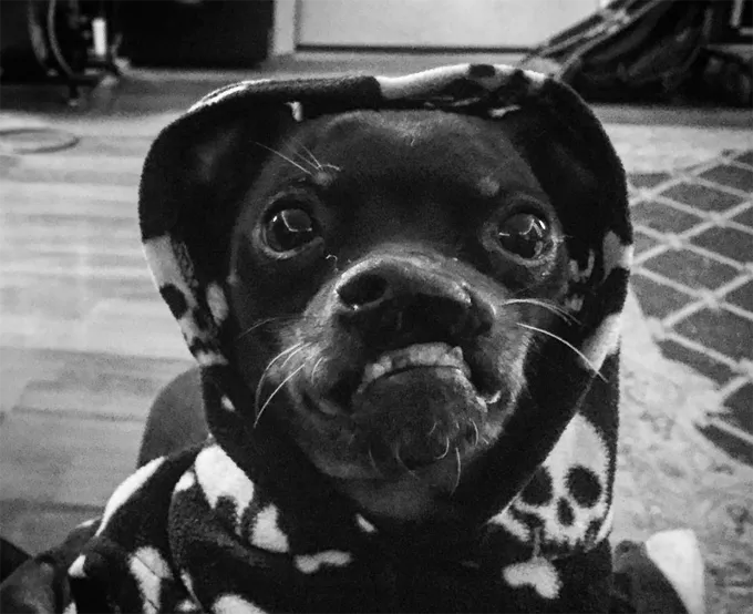 Этот что-то замышляет.' title=