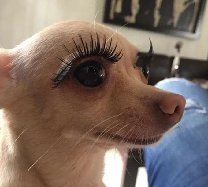 Реснички в помощь!' title=