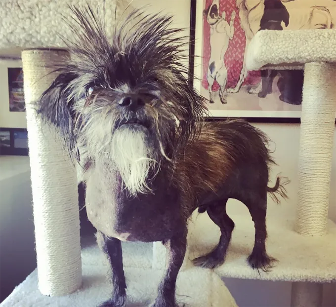 Такой мудрый.' title=