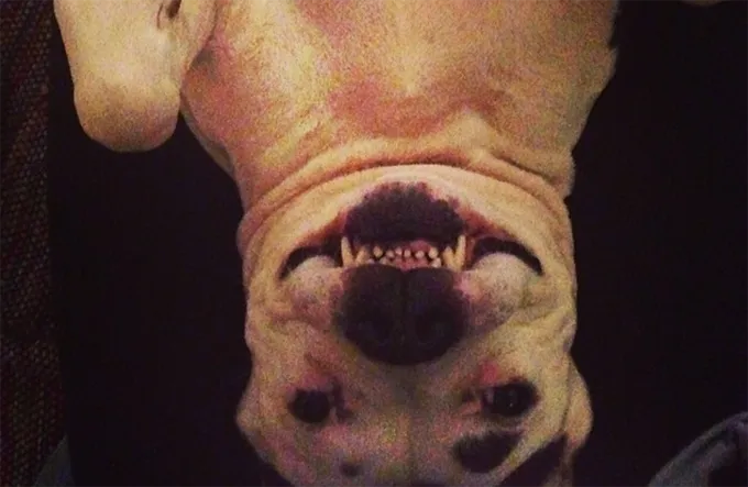 Сияющая улыбка на миллион долларов!' title=