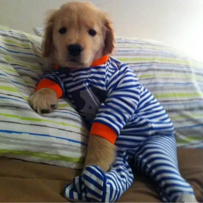 (Кредит за снимка: )' title=