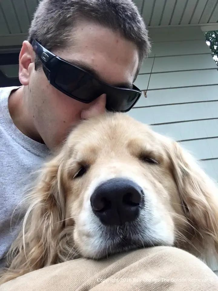 (Снимка: сляп голдън ретривър Рей Чарлз във Facebook)' title=