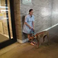 Pies ucieka z samolotu powoduje opóźnienia w LaGuardia