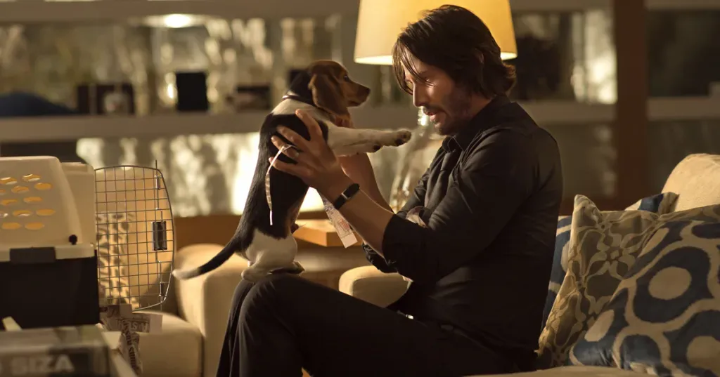 Beagle együtt játszik Keanu Reeves-szel az új bosszúfilmben