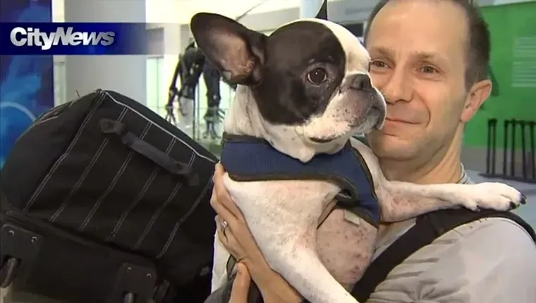 „Air Canada“ pilotas nusileidžia lėktuvui išgelbėti šunį