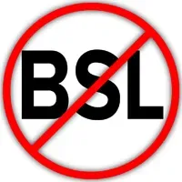 BSL var beigties Vašingtonas štatā