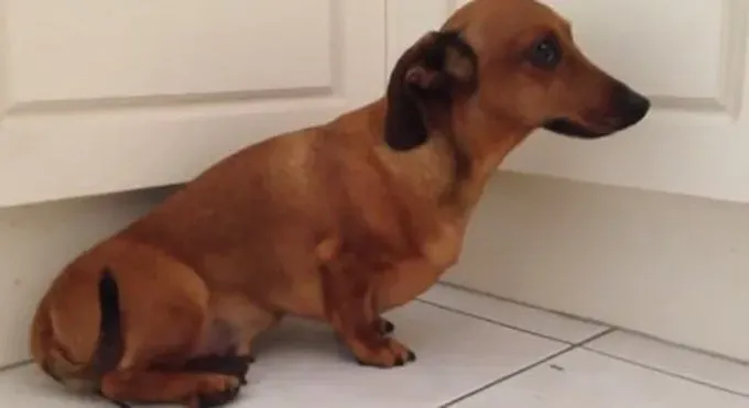 Che vergogna! (Credito fotografico: YouTube)' title=