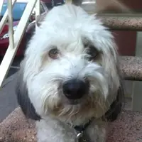 Komunita se setkává sledovat