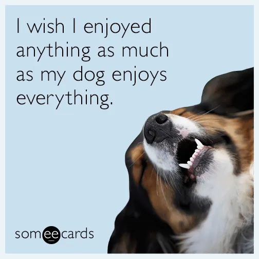 Patiesa Laime' title=