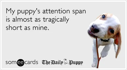 Kas tas tur ir?' title=