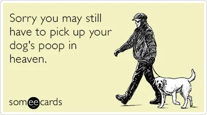 Nav izņēmumu' title=