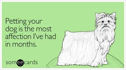 Vairāk mājdzīvnieku' title=