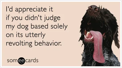 Atvainojiet, nav žēl' title=